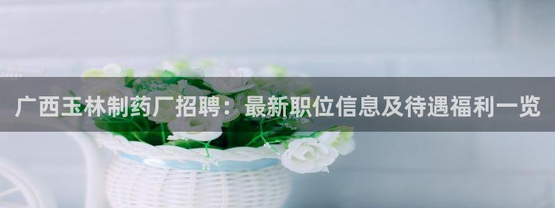 九游老哥俱乐部登录：广西玉林制药厂招聘：最新职位信息及待遇福利一览