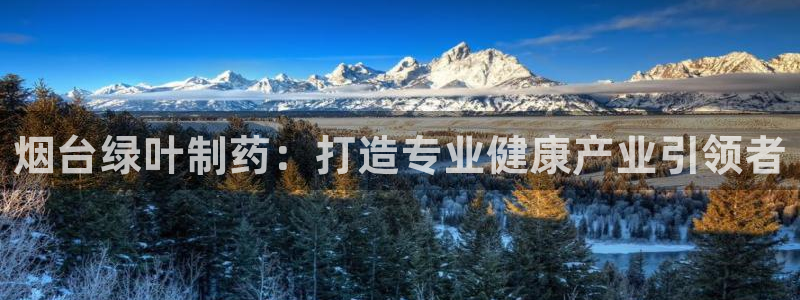 九游会老哥俱乐部交流社区：烟台绿叶制药：打造专业健康产业引领者