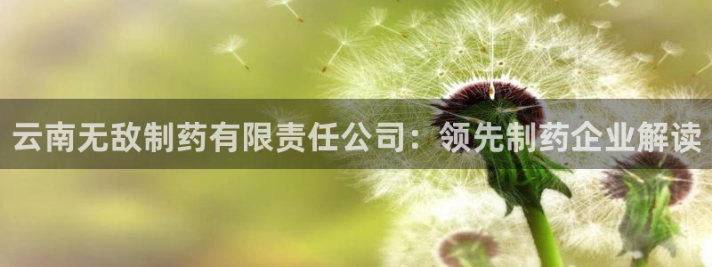 九游会老哥必备的交流社区九：云南无敌制药有限责任公司：领先制药企业解读