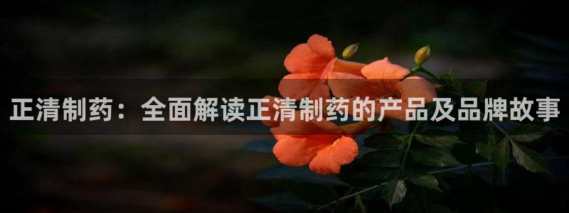老哥俱乐部是干什么的：正清制药：全面解读正清制药的产品及品牌故事