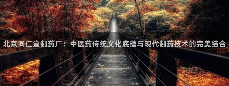 九游会老哥俱乐部：北京同仁堂制药厂：中医药传统文化底蕴与现代制药技术的完美结合