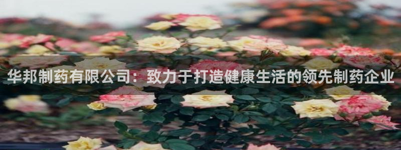 九游会老哥俱乐部官网首页：华邦制药有限公司：致力于打造健康生活的领先制药企业