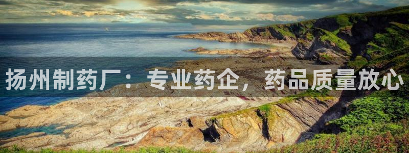 九游老哥俱乐部官网登录入口：扬州制药厂：专业药企，药品质量放心