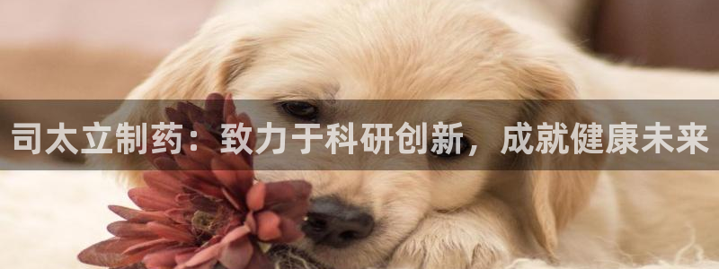 老哥吧九游会：司太立制药：致力于科研创新，成就健康未来