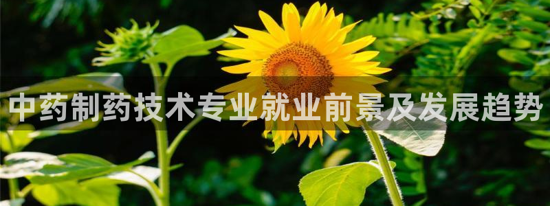 九游会老哥俱乐部必备的交流社区论坛：中药制药技术专业就业前景及发展趋势