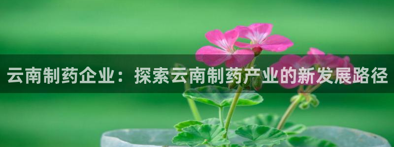 九游会老哥俱乐部必备的交流社区论坛：云南制药企业：探索云南制药产业的新发展路径