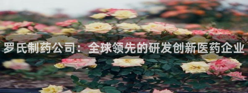 九游会老哥：罗氏制药公司：全球领先的研发创新医药企业