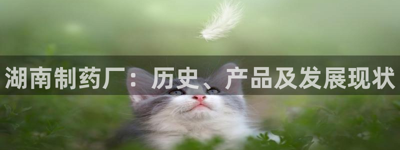 老哥俱乐部是干什么的：湖南制药厂：历史、产品及发展现状