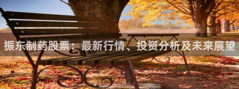 9游会老哥：振东制药股票：最新行情、投资分析及未来展望