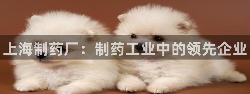 老哥俱乐部是干什么的啊：上海制药厂：制药工业中的领先企业