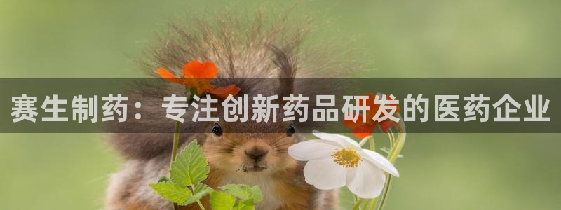 ag九游会老哥：赛生制药：专注创新药品研发的医药企业