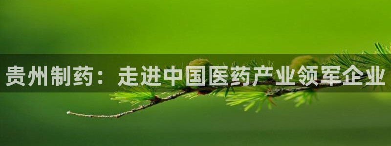 九游会老哥俱乐部必备的交流社区论坛：贵州制药：走进中国医药产业领军企业