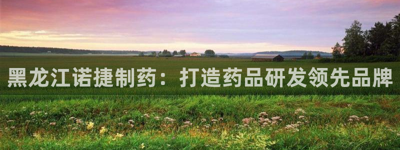 ag九游老哥俱乐部：黑龙江诺捷制药：打造药品研发领先品牌
