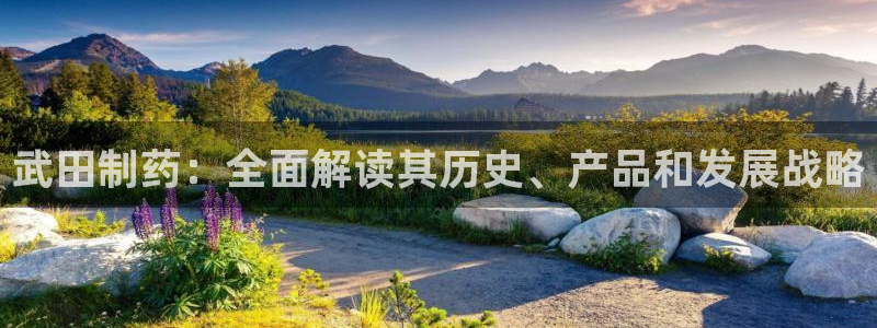 九游会老哥俱乐部官网首页：武田制药：全面解读其历史、产品和发展战略