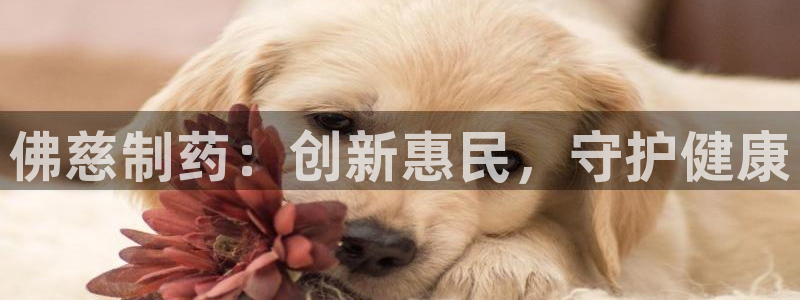 老哥吧九游会：佛慈制药：创新惠民，守护健康