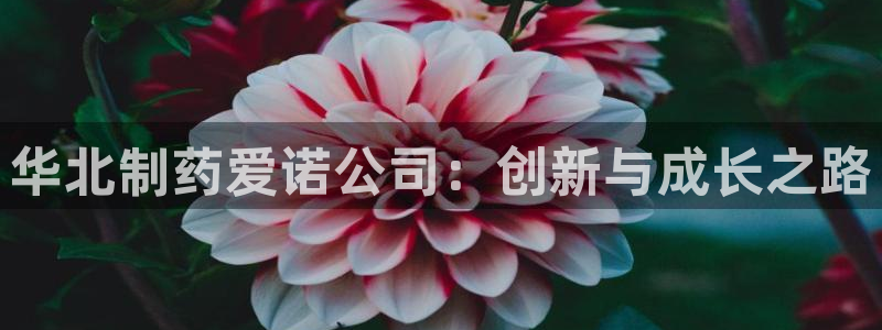 九游会老哥必备的交流社区九：华北制药爱诺公司：创新与成长之路