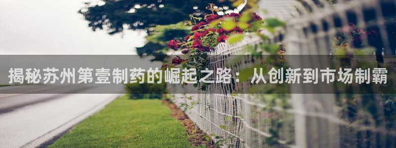 ag九游会老哥俱乐部：揭秘苏州第壹制药的崛起之路：从创新到市场制霸