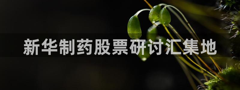 九游会老哥俱乐部官网：新华制药股票研讨汇集地