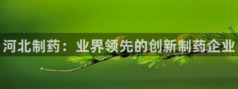 九游会老哥必备的交流社区：河北制药：业界领先的创新制药企业