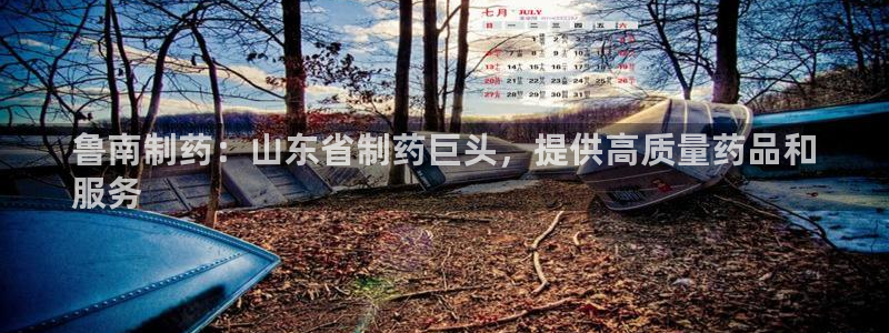 九游老哥俱乐部官网登录入口：鲁南制药：山东省制药巨头，提供高质量药品和
服务