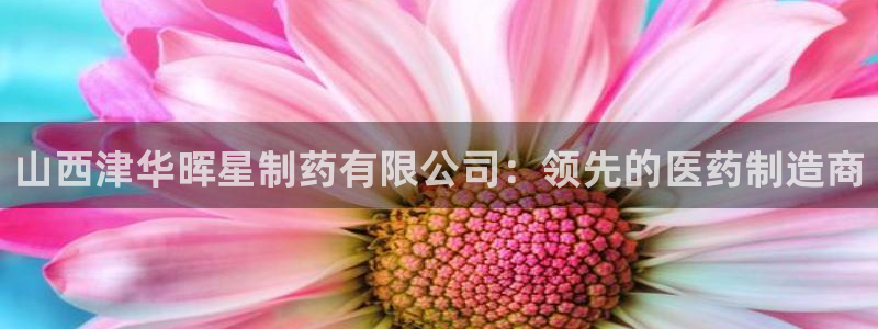 九游老哥俱乐部官网登录入口：山西津华晖星制药有限公司：领先的医药制造商