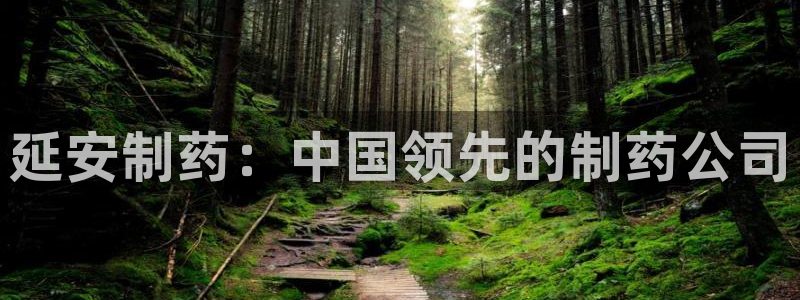 九游老哥俱乐部官网登录网址：延安制药：中国领先的制药公司
