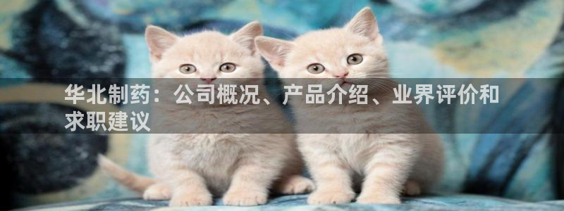 九游会老哥俱乐部必备的交流社区论坛