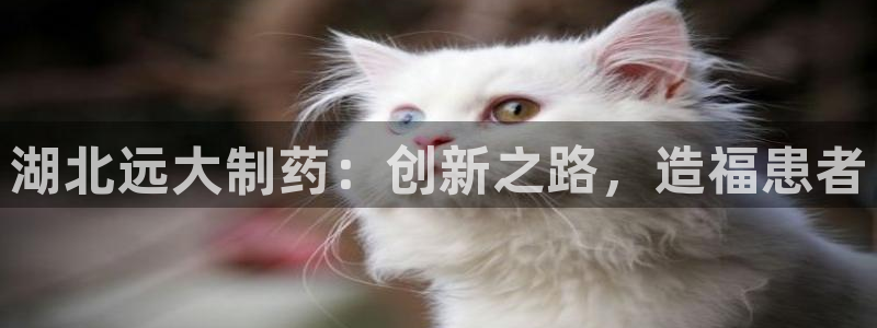 九游老哥俱乐部登录