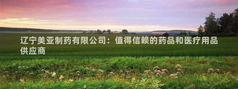 老哥吧九游会：辽宁美亚制药有限公司：值得信赖的药品和医疗用品
供应商