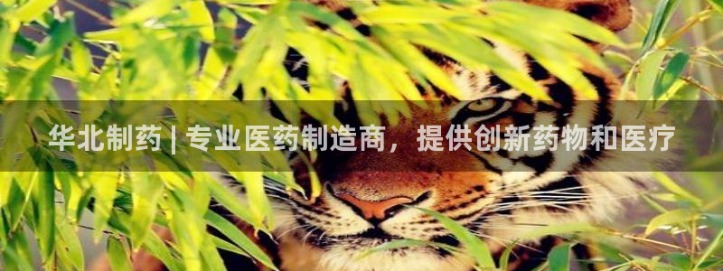 九游会老哥俱乐部社区论坛：华北制药 | 专业医药制造商，提供创新药物和医疗