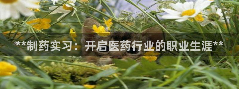 老哥吧九游会下架吗：**制药实习：开启医药行业的职业生涯**