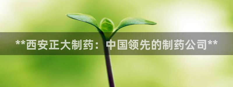 9游会老哥：**西安正大制药：中国领先的制药公司**