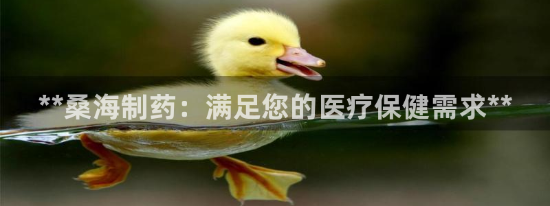 九游会老哥俱乐部官方网站：**桑海制药：满足您的医疗保健需求**