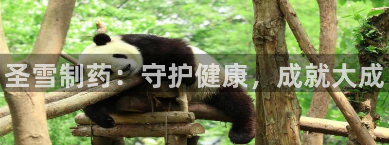 老哥吧九游会：圣雪制药：守护健康，成就大成