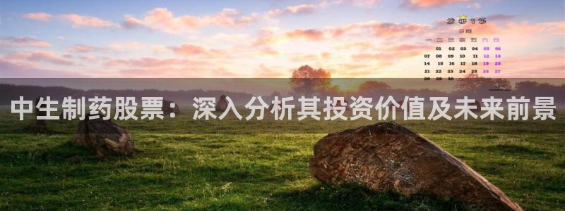 ag九游老哥俱乐部：中生制药股票：深入分析其投资价值及未来前景