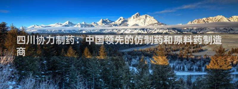 九游会老哥：四川协力制药：中国领先的仿制药和原料药制造
商