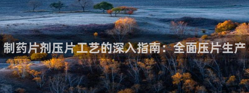 ag九游会老哥俱乐部：制药片剂压片工艺的深入指南：全面压片生产