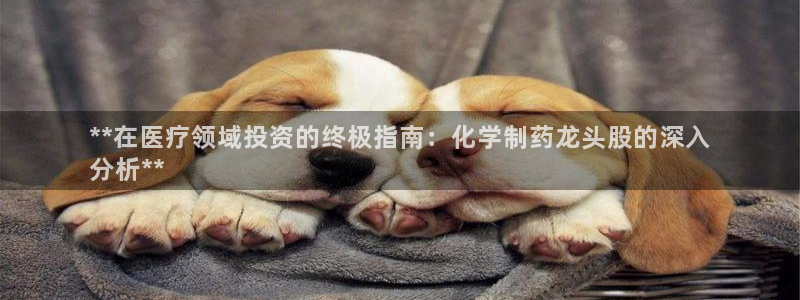老哥吧九游会：**在医疗领域投资的终极指南：化学制药龙头股的深入
分析**