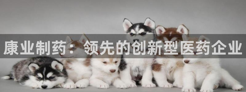 九游会老哥必备的交流社区九：康业制药：领先的创新型医药企业