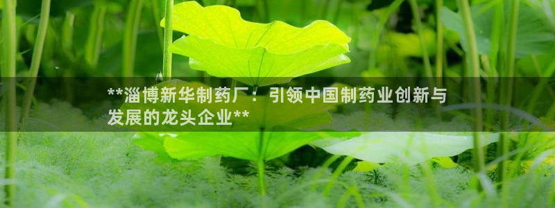 9游会老哥俱乐部：**淄博新华制药厂：引领中国制药业创新与
发展的龙头企业**