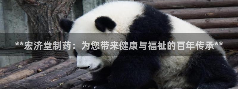 九游会老哥俱乐部：**宏济堂制药：为您带来健康与福祉的百年传承**