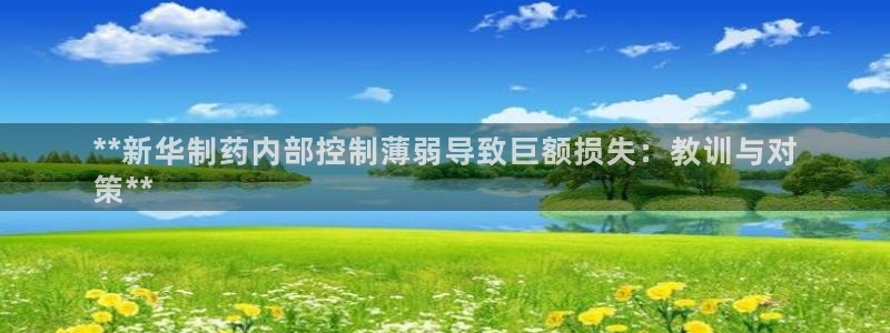 九游老哥俱乐部官网登录：**新华制药内部控制薄弱导致巨额损失：教训与对
策**