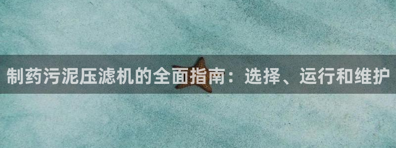 usdt九游会老哥俱乐部：制药污泥压滤机的全面指南：选择、运行和维护