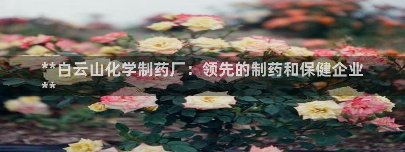 九游会老哥俱乐部官方网站：**白云山化学制药厂：领先的制药和保健企业
**