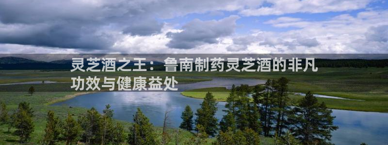 老哥俱乐部是干什么的：灵芝酒之王：鲁南制药灵芝酒的非凡
功效与健康益处