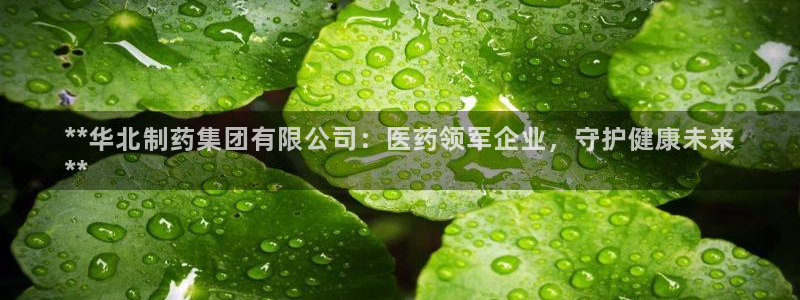 usdt九游会老哥俱乐部：**华北制药集团有限公司：医药领军企业，守护健康未来
**