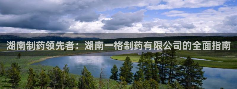九游会老哥俱乐部必备的交流社区论坛：湖南制药领先者：湖南一格制药有限公司的全面指南