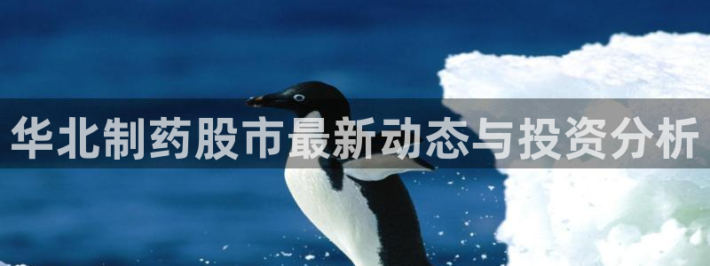 九游会老哥必备的交流社区九：华北制药股市最新动态与投资分析
