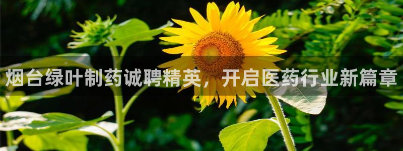j9九游会老哥俱乐部交流区：烟台绿叶制药诚聘精英，开启医药行业新篇章