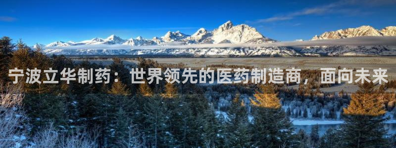九游老哥俱乐部官网登录：宁波立华制药：世界领先的医药制造商，面向未来